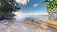 This single-level waterfront property offers a remarkable natural setting defined by its direct access to a wide, tranquil body of water. The outdoor environment is the undeniable highlight of the space, showcasing a gently sloping sandy shoreline that meets calm, shallow waters with a warm golden hue near the bank — characteristic of a coastal bay or estuary environment. Mature trees with dense green canopies frame the water's edge, providing natural shade and a sense of seclusion while enhancing the property's organic, unspoiled character. The horizon stretches broadly across the water, offering unobstructed panoramic views under a vivid blue sky dotted with scattered clouds, giving the setting a bright, open, and peaceful ambiance. The transition from land to water is gradual and natural, with the shoreline appearing sandy and accessible. The lush vegetation lining the property suggests proximity to a subtropical or coastal ecosystem, adding to the property's ecological richness. The combination of open water views, natural tree coverage, and direct waterfront access makes this an exceptional outdoor space well-suited for those who value natural beauty, tranquility, and a strong connection to the surrounding landscape.