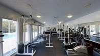 The fitness center at 3100 Lakebrook Blvd in Knoxville, Tennessee, offers a dedicated space for residents to pursue their health and wellness goals. The single-floor facility is designed to maximize functionality, with a long, open floor plan that accommodates a comprehensive selection of exercise equipment without feeling cramped.

Large windows line one side of the room, allowing abundant natural light to fill the space and providing views of the surrounding outdoor greenery. The bright, airy atmosphere is further supported by overhead flush-mount lighting that ensures consistent illumination throughout. The floor is fitted with dark rubber matting, providing a durable and safe surface ideal for weightlifting and high-impact workouts.

The gym is outfitted with a variety of strength-training equipment, including weight benches, barbell racks, and cable machines, as well as cardio machines such as a treadmill. Full-length mirrors along one wall enhance the sense of depth and allow users to monitor their form during exercises. The textured ceiling and clean white walls contribute to a straightforward, no-frills environment focused entirely on fitness.