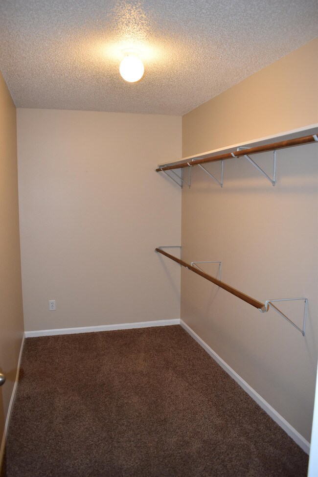 Foto del edificio - 2923 Bluff Ridge Dr