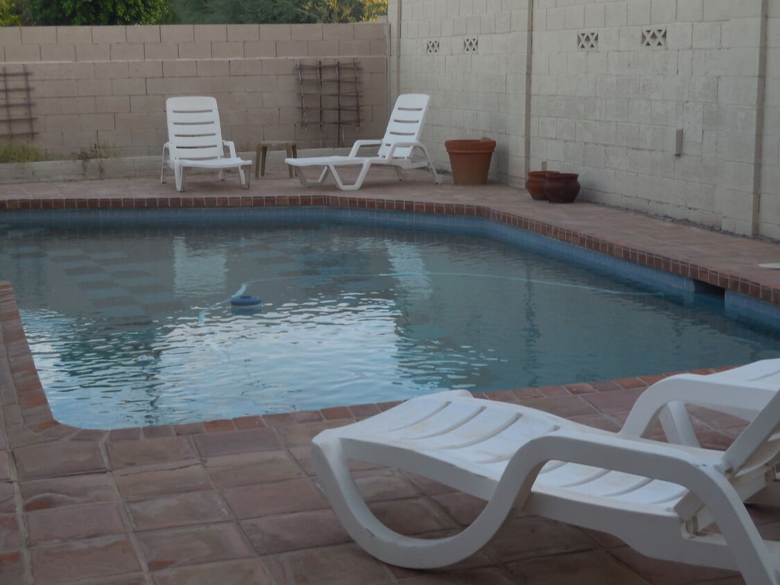 New dive pool - 1625 N Sunset Dr