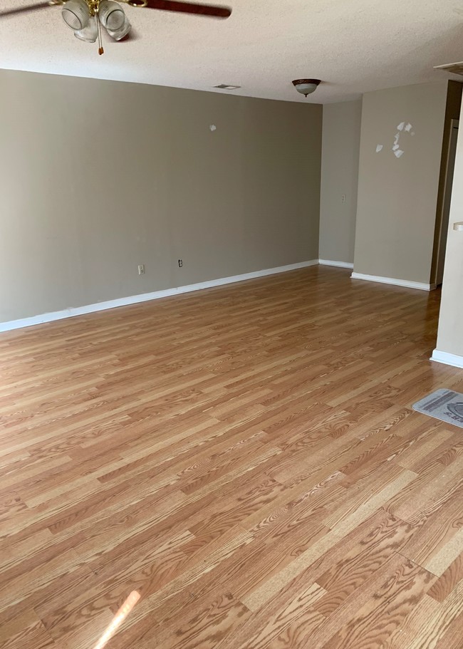 Living Room - 441 Clemson Rd