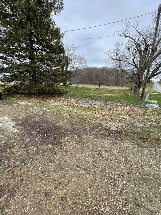 Foto del edificio - 4 br, 2 bath House - 700 Townhall Rd W