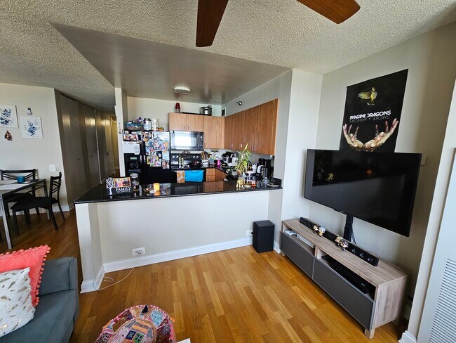 Foto del edificio - 474 N Lake Shore Dr