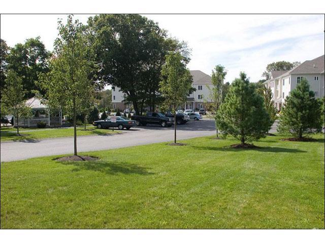 Patio - Chestnut Park Apartments