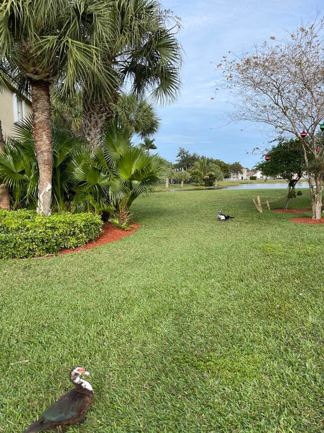 Foto del edificio - 7903 Sienna Springs Dr