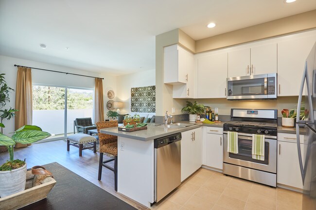 Building Photo - Paseos at Ontario