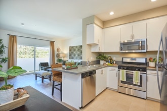 Building Photo - Paseos at Ontario