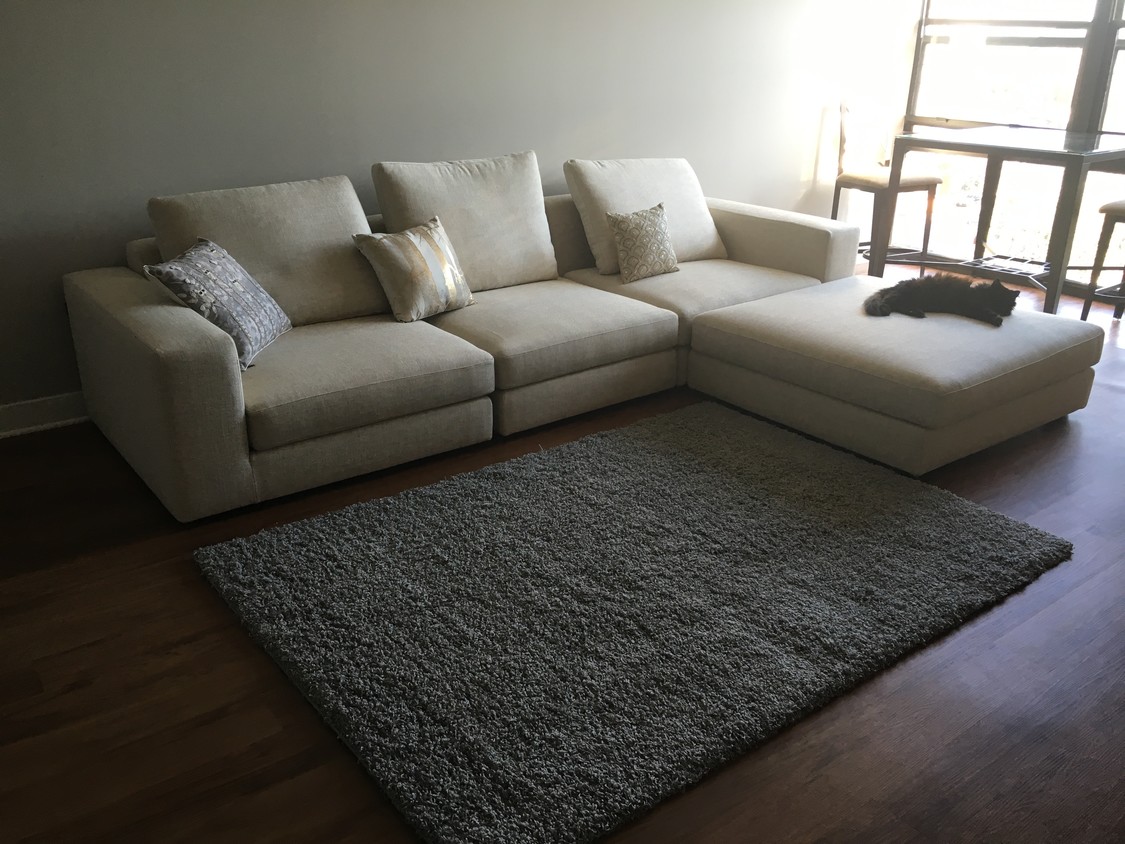 Living Room - 299 N Dunton Ave
