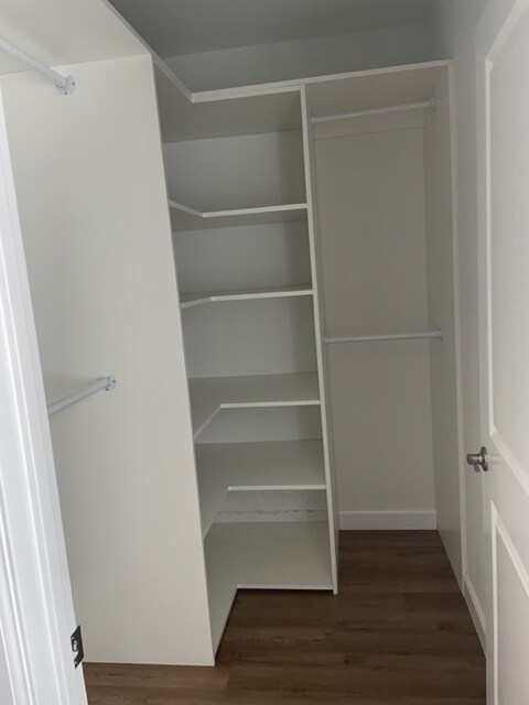 walk-in closet - 436 N Shelton St