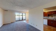This single-floor residence offers a comfortable and functional layout with a seamless flow between living spaces. The living area is bright and welcoming, featuring plush wall-to-wall carpeting, a textured ceiling, and a large sliding glass door that opens to a private balcony with outdoor views of surrounding greenery — allowing natural light to fill the room. A ceiling fan adds practical comfort to the space. The kitchen is thoughtfully designed with rich, dark cherry wood cabinetry, a decorative tile backsplash, granite-toned countertops, and tile flooring. White appliances including a range, dishwasher, and refrigerator provide all the essential amenities. The kitchen opens conveniently to the living area, enhancing the open feel of the unit. The bedroom is generously sized, carpeted for comfort, and features a window that brings in natural light and views of the outdoors, along with ample closet storage. The full bathroom is clean and well-maintained, featuring a rich wood vanity with a white countertop, a combined tub and shower unit with built-in shelving, and tile flooring. Throughout the space, neutral walls and consistent finishes create a cohesive and move-in-ready environment.