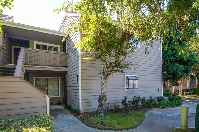 Building Photo - 1083 Shadowridge Dr