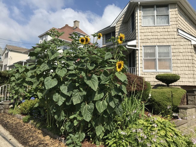 Foto del edificio - 225 Sickles Ave