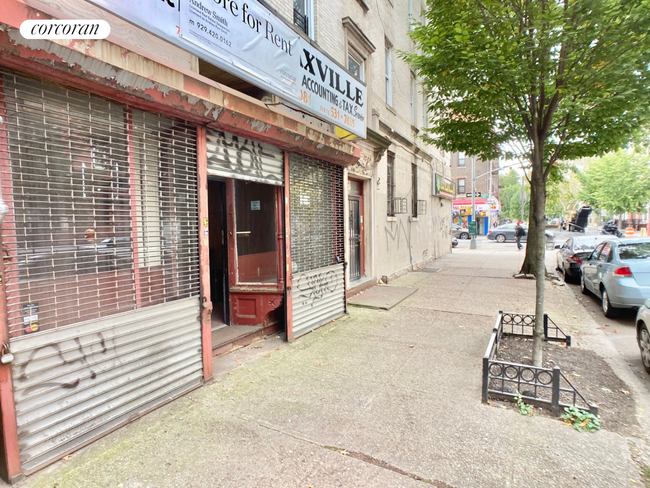 216 Winthrop St Unit STORE, Brooklyn, NY 11225 - Room for Rent in ...