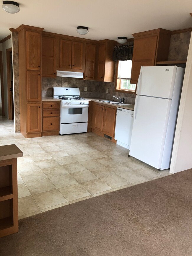 Recent photo - 53 Gore Road Park