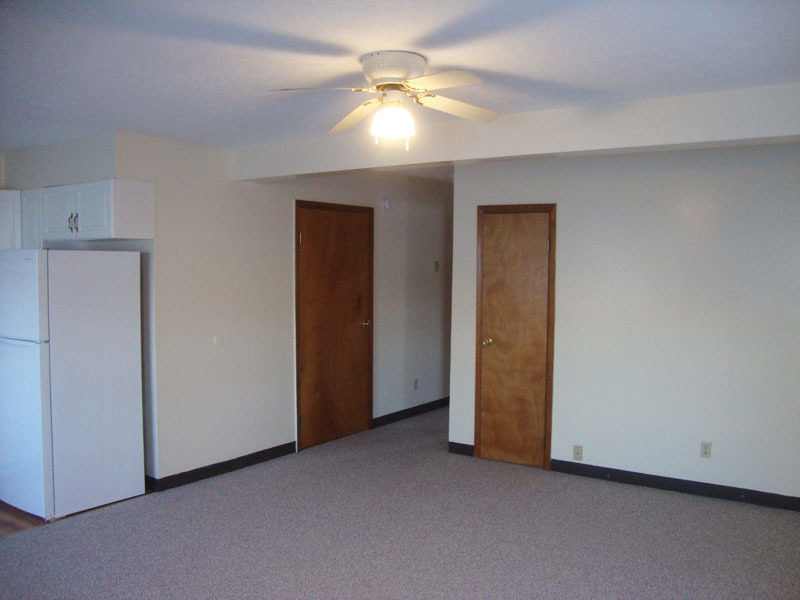 Living Room from Entry. - 441 White Ln