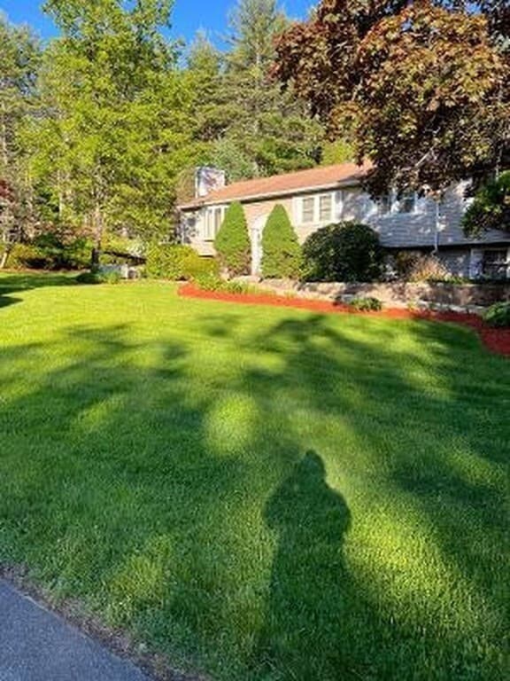 Primary Photo - 4 Mulberry St