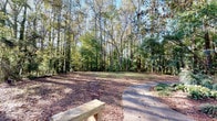 This property presents a beautifully natural outdoor environment defined by its mature, towering trees and serene woodland atmosphere. A paved circular driveway serves as a central organizing feature of the grounds, providing convenient access while adding a structured, formal element to the otherwise naturalistic setting. The driveway is lined and punctuated by carefully maintained landscaping beds filled with low-growing shrubs, ornamental grasses, and ground cover plants mulched with pine bark, creating a polished contrast against the wild woodland backdrop.

The surrounding grounds are generously spacious, with open areas of pine-needle-covered earth nestled beneath a canopy of tall, slender trees that filter natural sunlight throughout the day. The tree coverage provides both shade and a sense of seclusion, while glimpses of a neighboring structure are visible through the tree line, suggesting the property exists within a broader residential context.

A simple wooden bench is positioned within the wooded grounds, offering a quiet spot to enjoy the peaceful natural surroundings. The overall ambiance is calm and private, characterized by dappled light, seasonal foliage, and the unhurried feel of a well-established, nature-integrated landscape. The property's mature plantings and thoughtful layout reflect a long-standing connection to its natural environment.