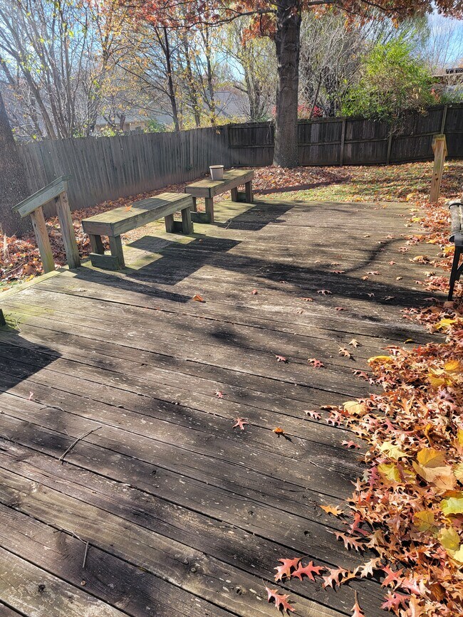 Back Deck - 2509 W Houston St