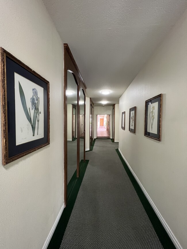 hallway to the apartment - 511 N Jackson St