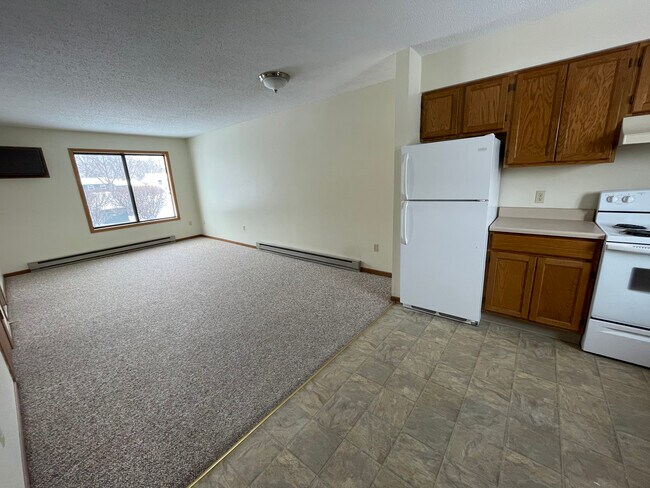 Main Floor - 910 Elm St