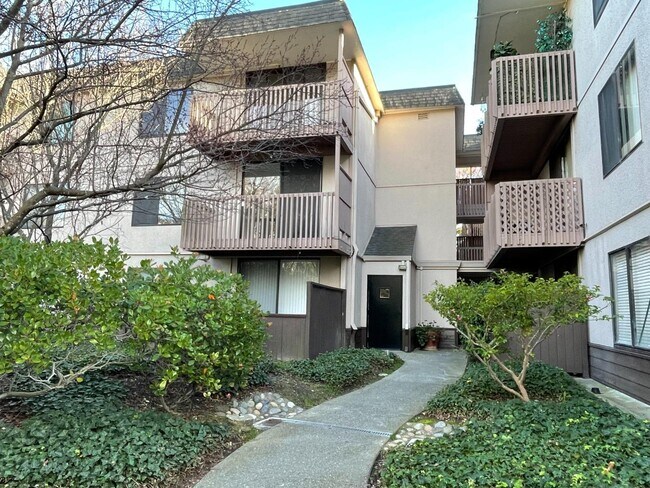 Foto del edificio - 3349 Shelter Creek Ln
