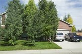 Primary Photo - 734 Ridge Creek Ct