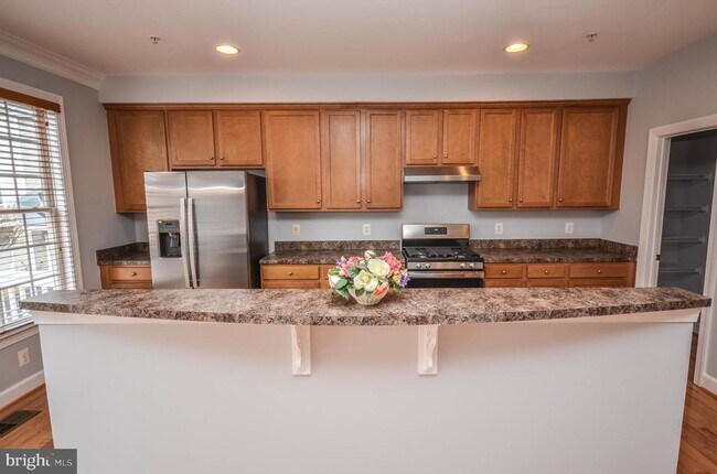 Building Photo - 1638 Piccard Dr