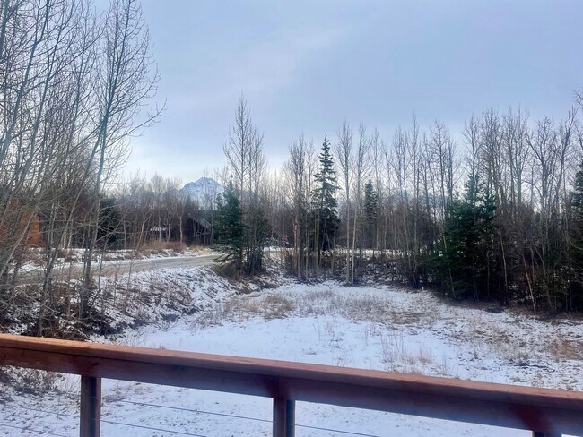 Building Photo - On an acre in Palmer! 4 bedrooms/3 bathrooms Oversized 2car garage PLUS additional shop! Addition...