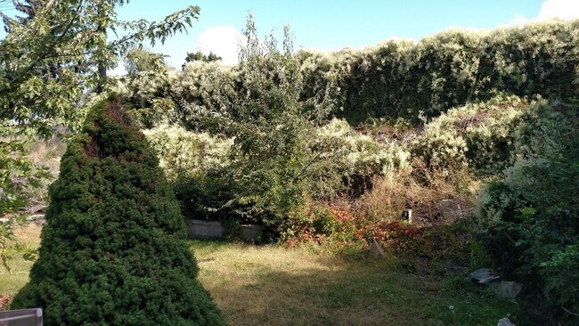 Building Photo - 4 bedroom 2 bath home with workshop