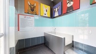 The Suds pet wash station is a purpose-built grooming space designed with both functionality and personality in mind. The centerpiece of the room is a raised stainless steel bathing tub, complete with an attached handheld sprayer, making pet bathing efficient and accessible. Built-in steps on the side of the tub provide easy entry for pets of varying sizes.

The walls feature a striking two-tone tile design, with light aqua glazed tiles in the upper section and darker slate-blue mosaic tiles lining the lower portion, while a small-format mosaic tile floor provides slip resistance and practicality. The dark grey upper wall and ceiling create a bold backdrop that highlights the space's most eye-catching feature: four large, vibrant pop-art style canvases depicting different dog breeds, including a German Shepherd, Bull Terrier, French Bulldog, and Schnauzer, adding a playful and welcoming ambiance.

Instructional signage is mounted prominently on the wall, guiding users through proper use of the wash station. The overall design balances a fun, dog-friendly aesthetic with durable, easy-to-clean materials suited for a high-use grooming environment.