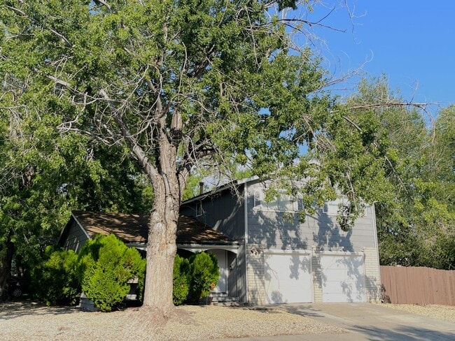 Building Photo - South Reno 2 Story Home
