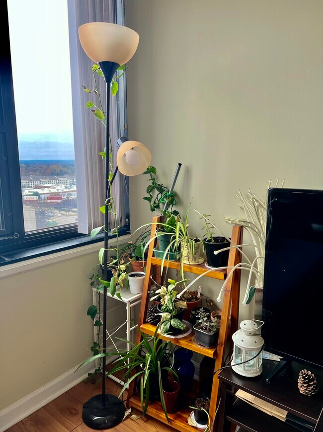 living room - 1100 Wheat St