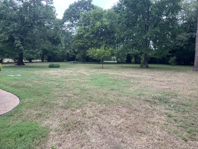 back yard - 519 Meadowlark Ln
