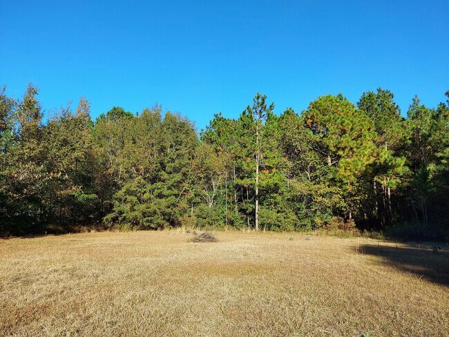 Foto del edificio - 161 Suzanne Ct