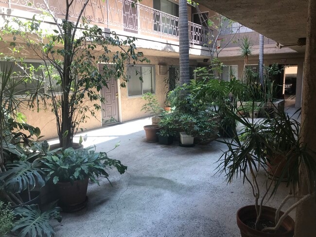 Courtyard - 10425 Irene St