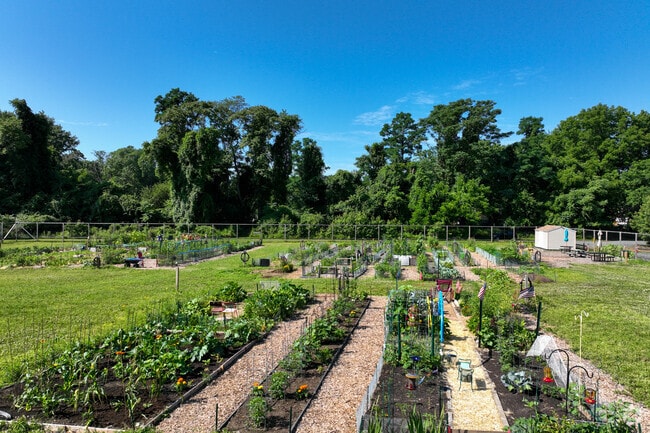 Eatontown Community Garden is the spot to be for any avid gardening enthusiasts.