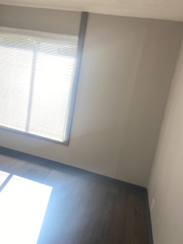 Building Photo - 534 6th Ave S