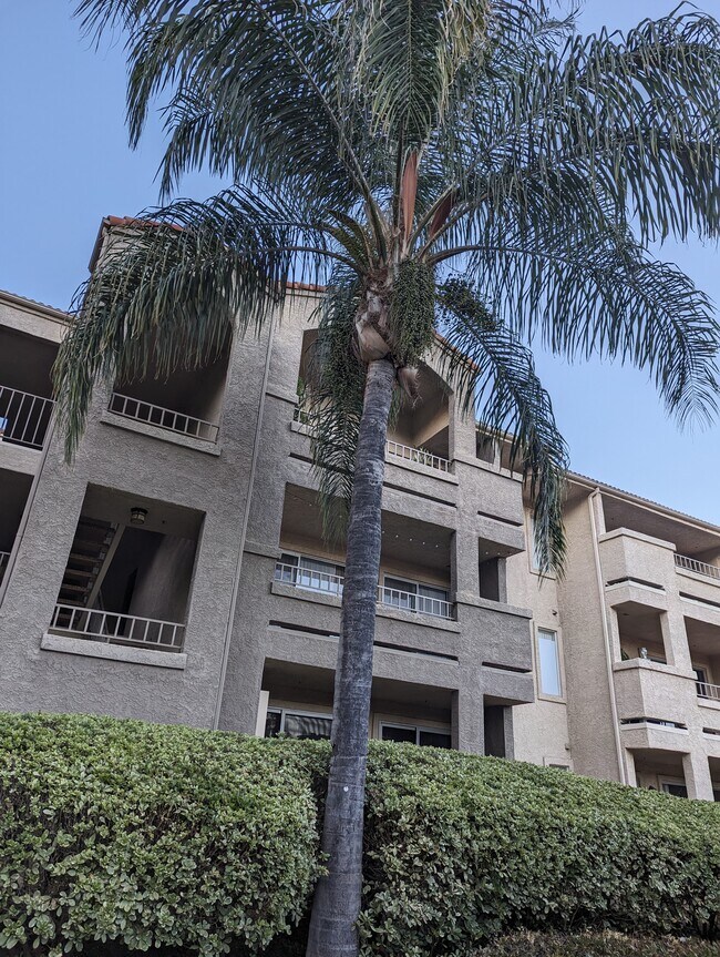 Foto del edificio - 1020 Vista del Cerro Dr