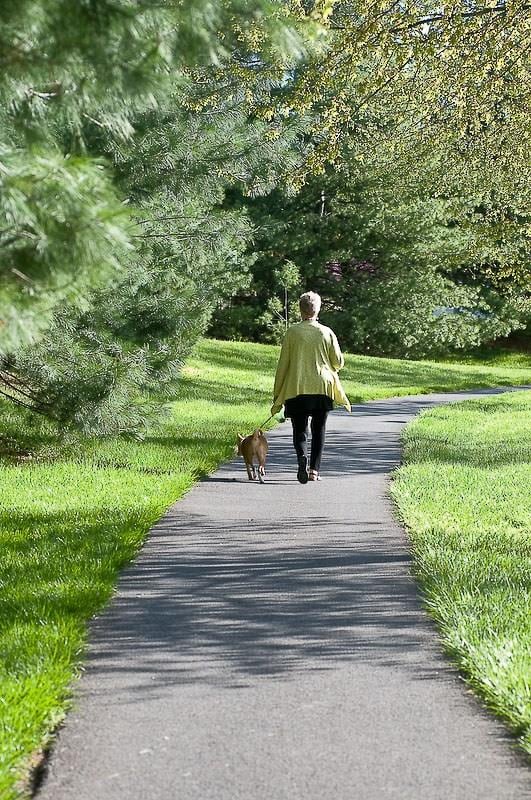 Walking Trails - Spring Ridge Senior 62+ Apartments