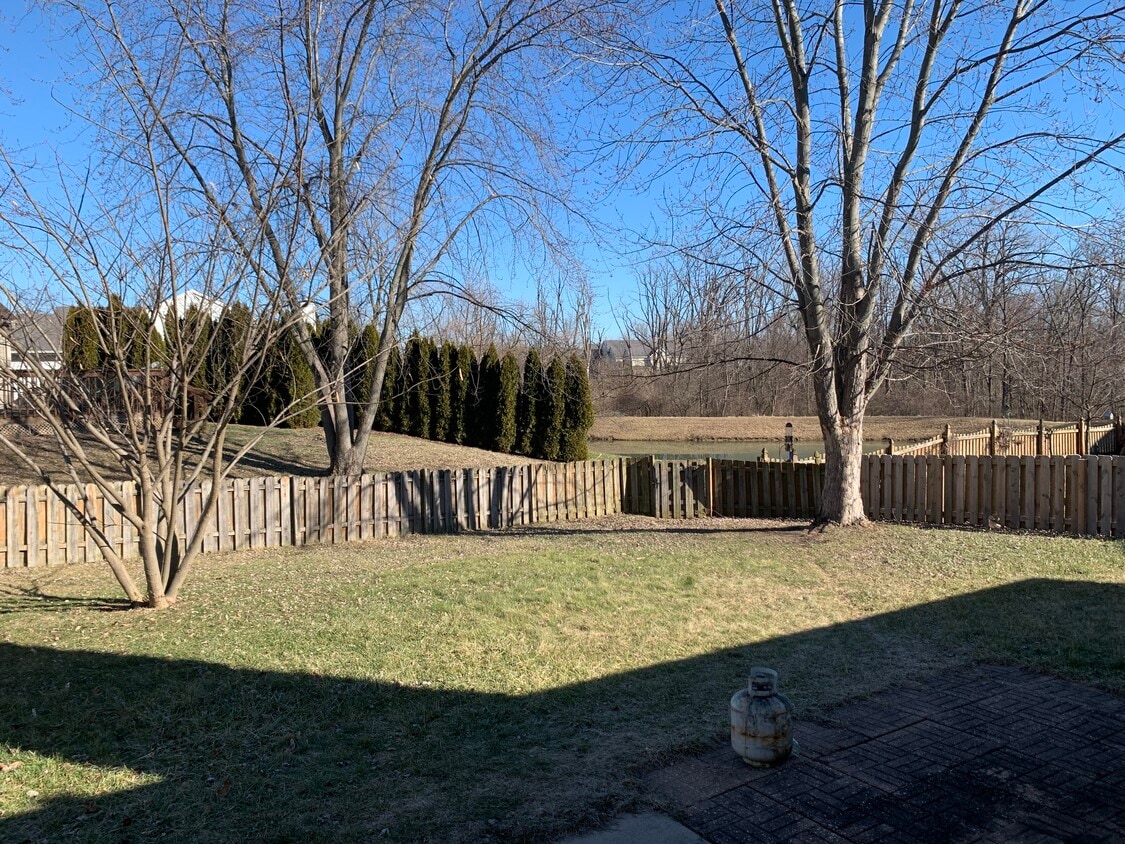 Fecnced in back yard - 1220 Billy Dr