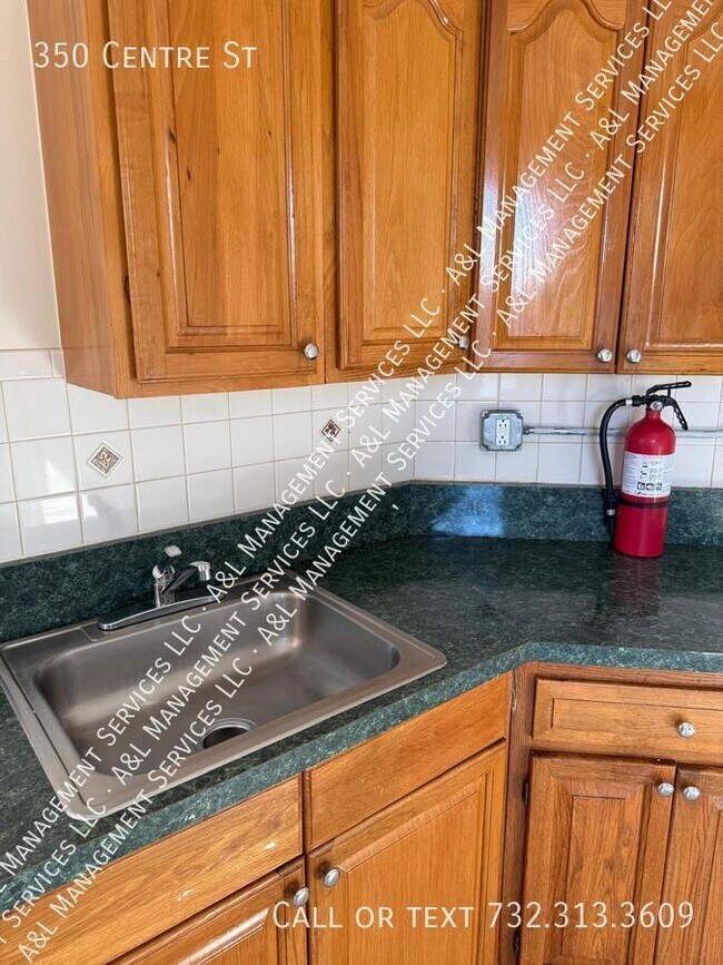 Foto del edificio - 350 Centre St