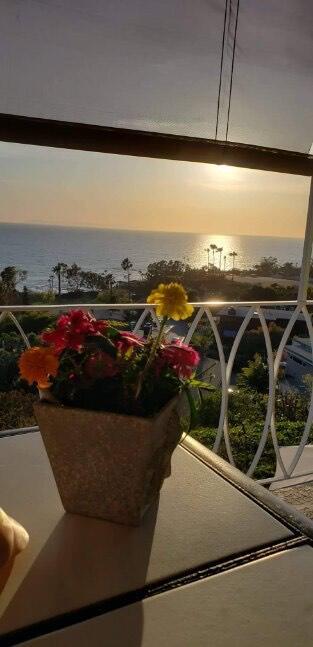 Foto del edificio - 21702 Ocean Vista Dr