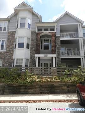 Primary Photo - 3501 Piney Woods Pl