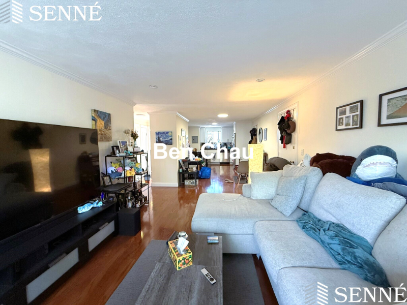 Primary Photo - 6 Blair Pl