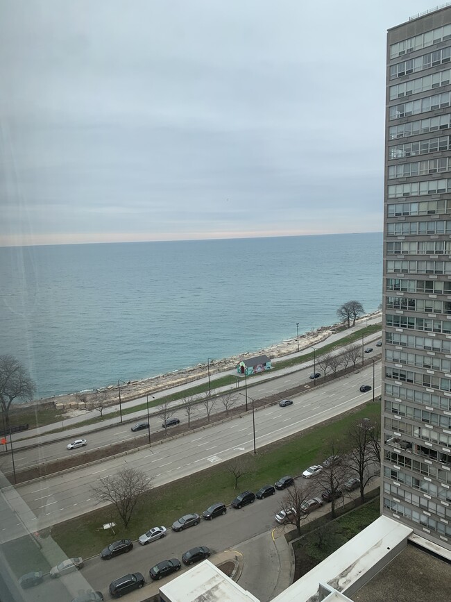 Lake view - 4800 S Chicago Beach Dr