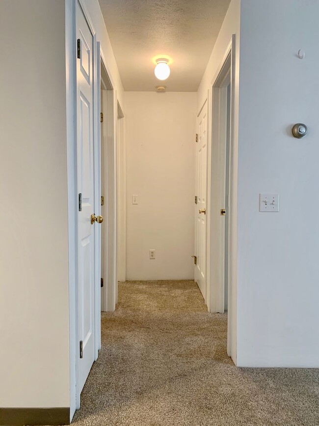 Building Photo - Two Bedroom Apartment in Hastings