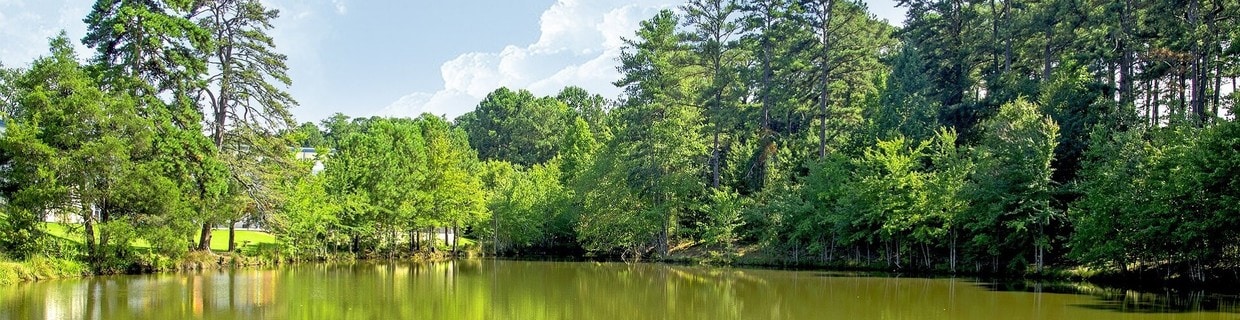 Sandy Springs city image