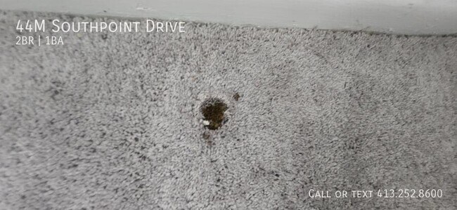 Foto del edificio - 44 Southpoint Dr