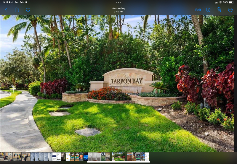 Tarpon Bay Naples Fl Rentals