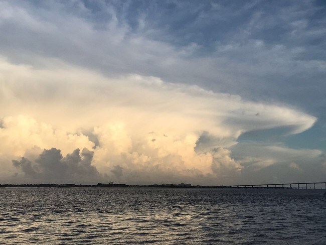 Actual view/ Key Biscayne bridge - 800 Claughton Island Dr